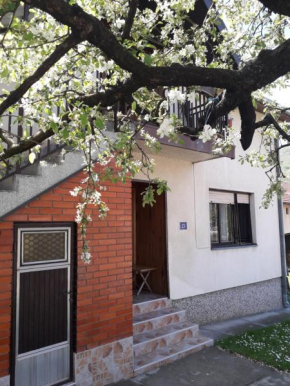 Rakić apartman